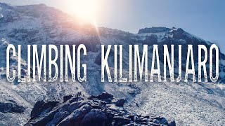 CLIMBING KILIMANJARO  Our Pledge  Western Breach  LIFE CHANGING EXPERIENCE [upl. by Braca]