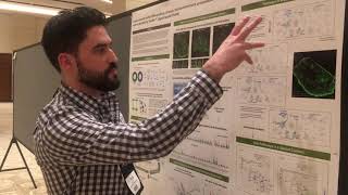 Spatial Transcriptomics of Colorectal Cancer Tissue [upl. by Anrak]