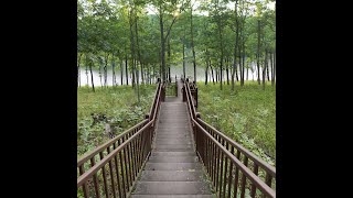 Cuivre River State Park August 4 2018 [upl. by Jard]