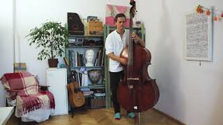 Ziemowit Klimek  Percussive Double Bass Solo at home [upl. by Sokul534]