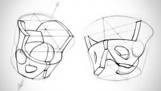 How to Draw the Pelvis from Any Angle  Human Anatomy for Artists [upl. by Aicilegna]