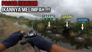 CASTING IKAN GABUS 💯 TIDAK MAU PULANG  SHIMANO SLX DC XT [upl. by Siroved]