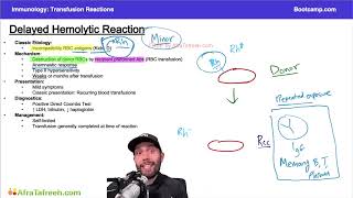 Delayed Hemolytic Transfusion Reaction atf [upl. by Ebony]