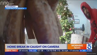 Burglar caught on camera taking presents from Christmas tree [upl. by Arand569]