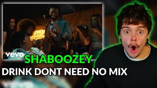 Mahhlin Reacts To  Shaboozey BigXthaPlug  Drink Dont Need No Mix Official Video [upl. by Tharp]