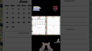 2025 Cat CalendarPlanner [upl. by Nerot]