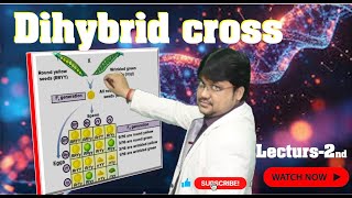 quotGenetics Understanding the Dihybrid Cross  Lecture 2quot [upl. by Harim]