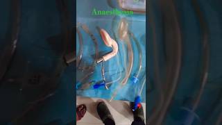 Anaesthesia technician exame rimshospitalranchi shorts video vairal [upl. by Magavern]