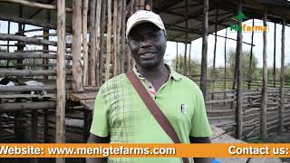 300 Acre Integrated Modern Goat Farm in Nothern Uganda Implemented by Menigte Farms Ltd [upl. by Conni679]