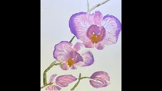 Orchids in watercolor [upl. by Dawaj]