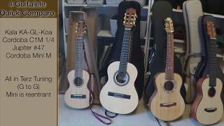 Four Guitalele Quick Comparo [upl. by Bristow952]