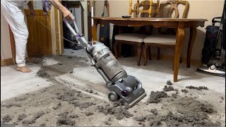 Dyson DC14 Allergy vacuum cleaner  Performance Testing [upl. by Aisekal460]