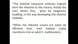 Intestinal Cestoda 2 [upl. by Nethsa]