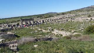 Roman City Volubilis 02 near Meknes Morocco 20190311 [upl. by Rexanna699]