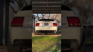 E85 SVT Cobra Cold Start With Revs 🔊 shorts [upl. by Nynnahs]