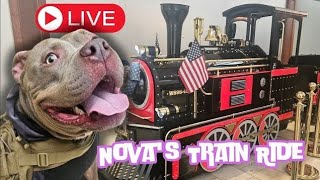 Ride the Train With Nova [upl. by Maris]