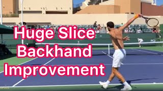 3 Awesome Slice Backhand Tips Grigor Dimitrov Tennis Technique [upl. by Aneroc]