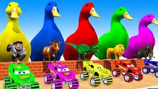 Animals cartoon cow elephant dinosaur gorilla tiger lion hippo cartoonanimals cartoon [upl. by Adianes]