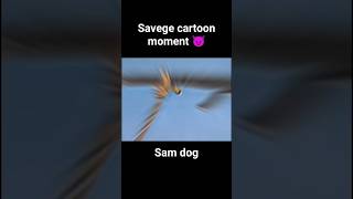 Ralph Wolf and Sam Sheepdog savege cartoon moment cartoon short shortvideo [upl. by Gilleod]