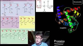 Biological Molecules [upl. by Nihcas]