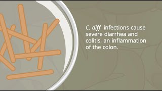 C Diff Infections  Pathophysiology and Nursing Interventions [upl. by Aida827]