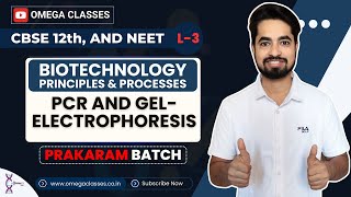 GEL ELECTROPHORESIS  PCR  BIOTECHNOLOGY  CLASS 12  CBSE NEET  OMEGA CLASSES [upl. by Bride]