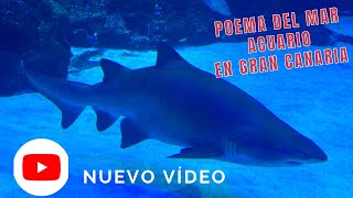 ACUARIO POEMA DEL MAR EN GRAN CANARIA🐠🪼🦈 [upl. by Waine]