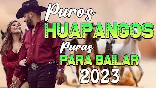 Huapangos Pa Bailar 2023  Puros Huapangos Mix Puras Norteñas Para Bailar  Sus Mejores canciones [upl. by Ait]