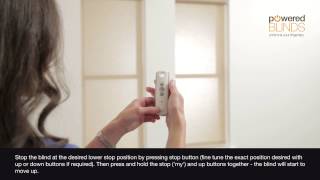 Motorised Roller Blind  Reset Procedure [upl. by Pierce]