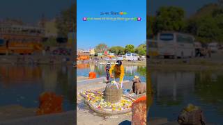 Mahadev status video ☘️bholenath status video ☘️shiv status video ☘️mahadev viralvideo shorts [upl. by Suirauqram957]