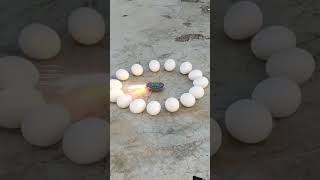 चकरी को अंडे से पका दिया  Top Awesome diwali Experiment short trendingshorts [upl. by Shedd]