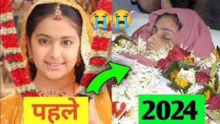 Balika Vadhu Serial Star Cast Then and Now 2008 to 2024  Real Age and Real Name [upl. by Enidanreb]