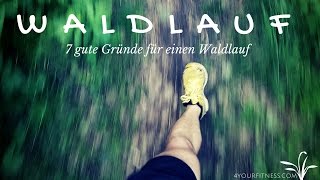 7 gute Gründe für einen Waldlauf [upl. by Ysiad]