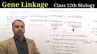 Gene Linkage Class 12 Biology [upl. by Heyes]