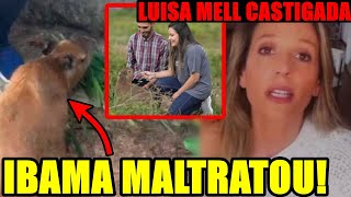 VAZA PROVA DE QUE IBAMA MALTRATOU FILÓ ELA VOLTA AO AGENOR E LUISA MELL É CASTIGADA [upl. by Enomys566]