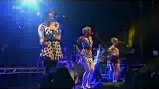 The Pipettes  Baby Dont Leave Me Live Rocknacht 2007 [upl. by Alidia866]