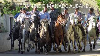 CODOGNAN COURSE DE TAUREAUX NEUF  BANDIDO 24062018 [upl. by Lesslie]