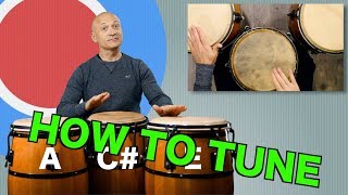 How To Tune a Set of Congas [upl. by Youngman179]