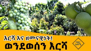 እርሻ እና ዘመናዊነት NBC ቅዳሜ NBC Ethiopia [upl. by Krishna575]