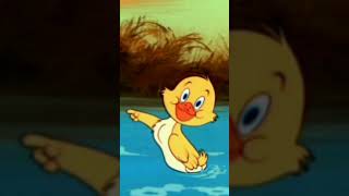 Quacker Tom And Jerry Picture [upl. by Mauchi672]