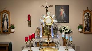 LIVE Eucharistic Adoration  Sisters of Divine Mercy [upl. by Aerdnaek]