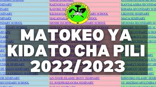 MATOKEO YA KIDATO CHA PILI 202223 JINSI YA KUTAZAMA MATOKEO YA FORM TWO 20222023 [upl. by Ivan958]