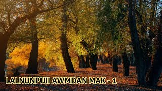 Lalnunpuii awmdan mak  1  An hliam tuar buaipui a bo daih [upl. by Ardnuasac]