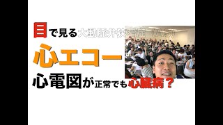 心電図が正常でも心臓の病気？心エコー、大動脈弁狭窄症 米山喜平（Yoneyama Kihei [upl. by Figge993]