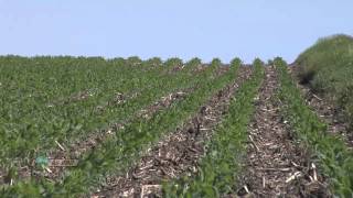 Soybean Planting 734 Air Date 42912 [upl. by Ellenet]