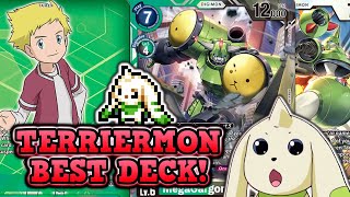 1st Place Locals Terriermon  Rapidmon Deck Digimon TCG BT15 Format [upl. by Dasie]