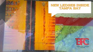 Fishing Inside Tampa Bay and Finding New Spots [upl. by Now616]