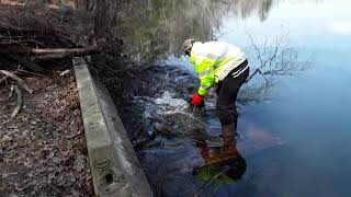 Clearing a Massive Clog on a Lake Drain Culvert [upl. by Assenev]