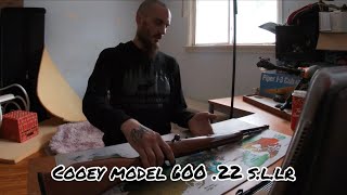 Cooey model 600 22cal bolt removal and disassembly for cleaning [upl. by Alis]