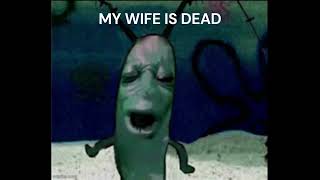 Plankton My Wife Is Dead meme [upl. by Weksler]